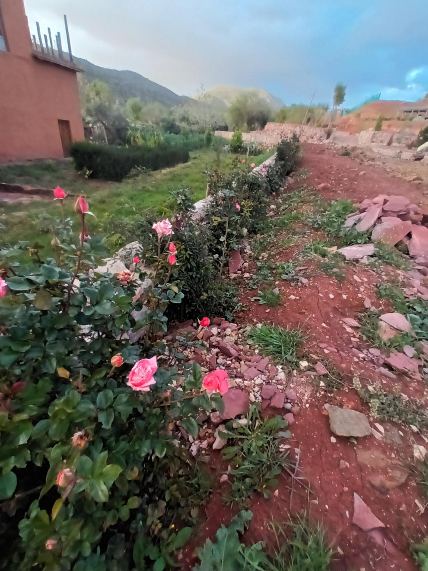 Ecolodge Espace Tamount 뎀나트 외부 사진