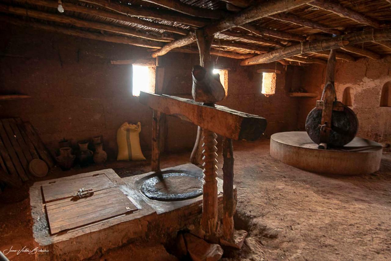 Ecolodge Espace Tamount 뎀나트 외부 사진