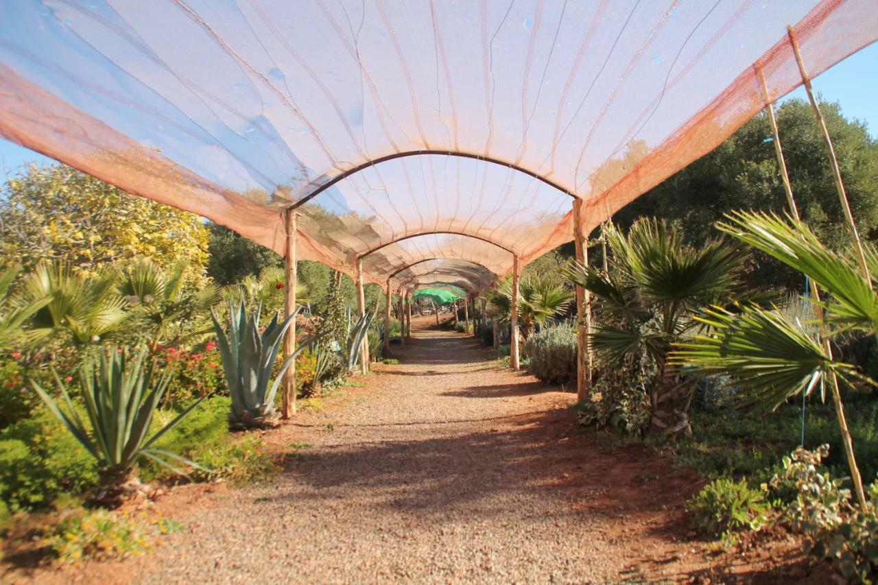 Ecolodge Espace Tamount 뎀나트 외부 사진
