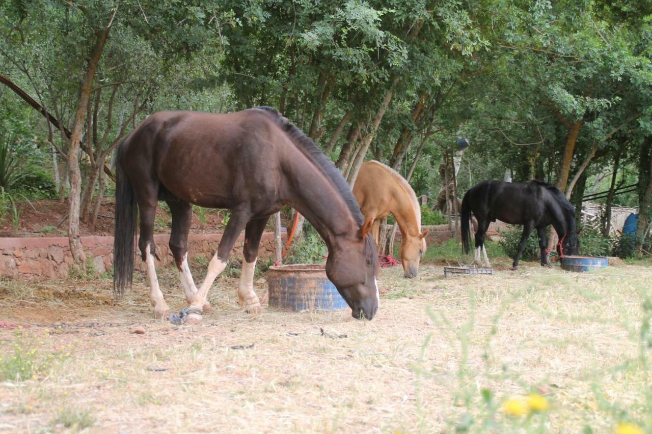 Ecolodge Espace Tamount 뎀나트 외부 사진